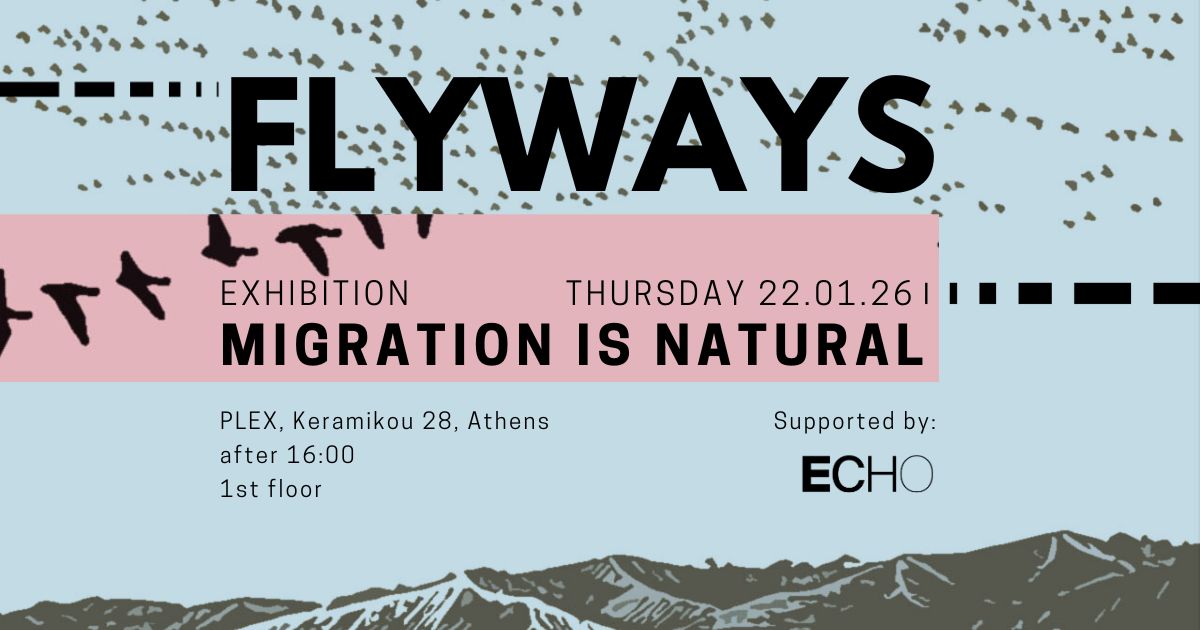 Poster for FLYWAYS