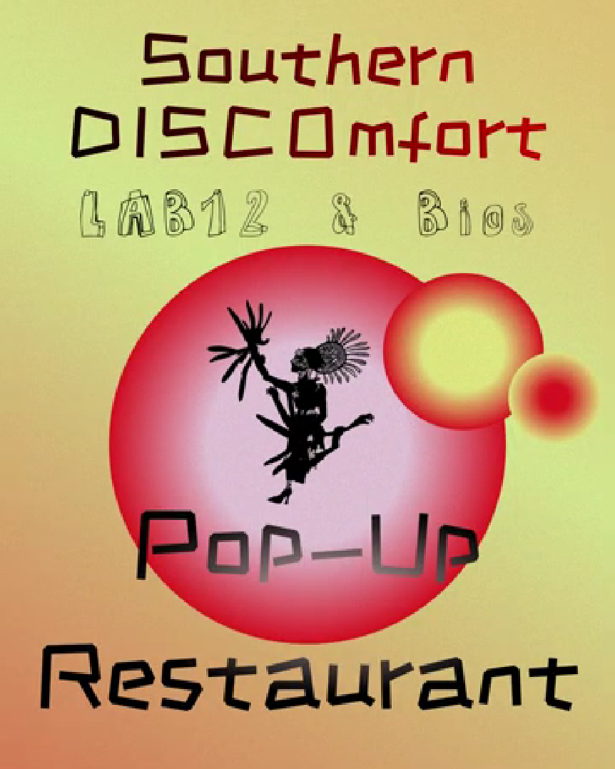 Poster for Southern DISCOmfort